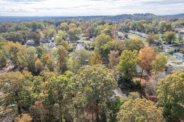 bird's eye view