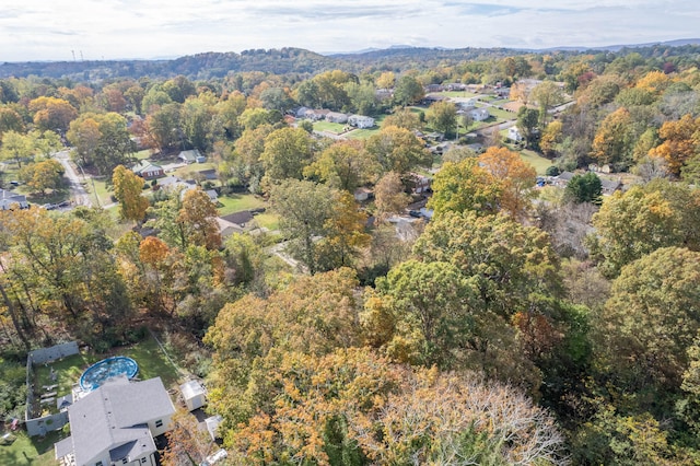 bird's eye view