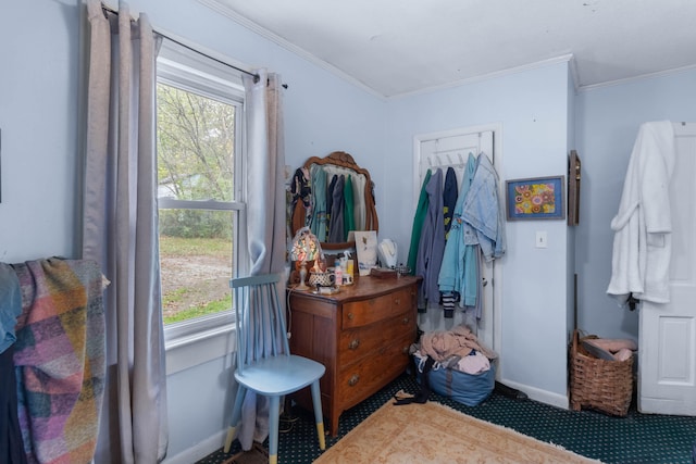 interior space with a wealth of natural light and crown molding