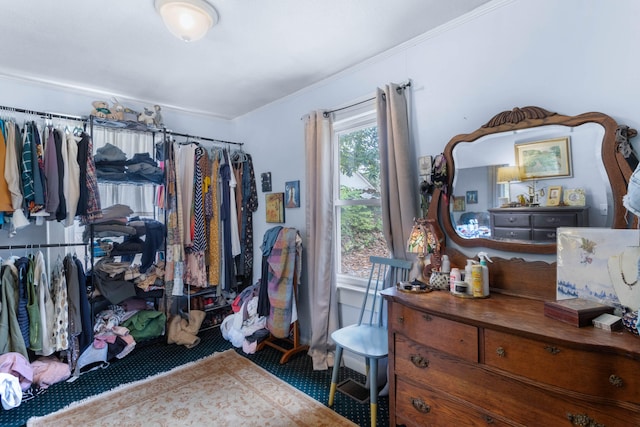 walk in closet with carpet