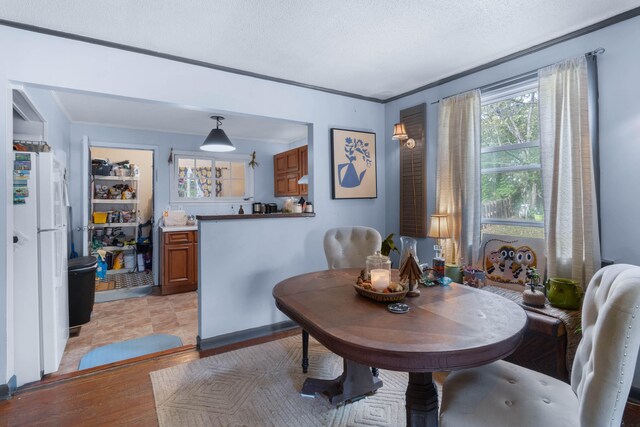 dining area with a textured ceiling, light hardwood / wood-style flooring, and ornamental molding