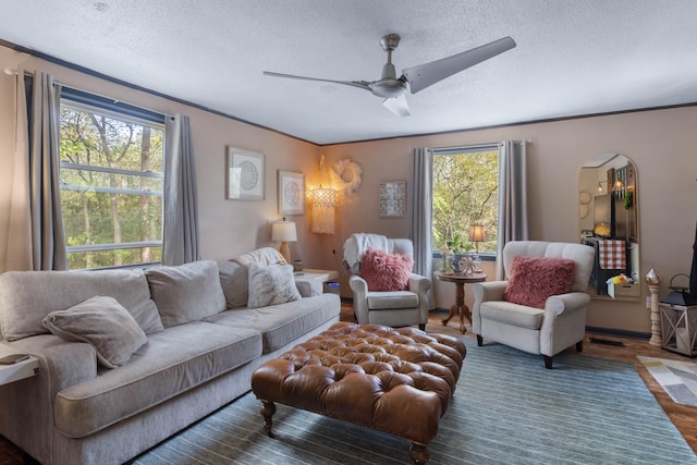 living room featuring ceiling fan, a textured ceiling, a healthy amount of sunlight, and dark hardwood / wood-style floors