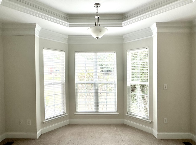 interior space with light colored carpet, a tray ceiling, and crown molding