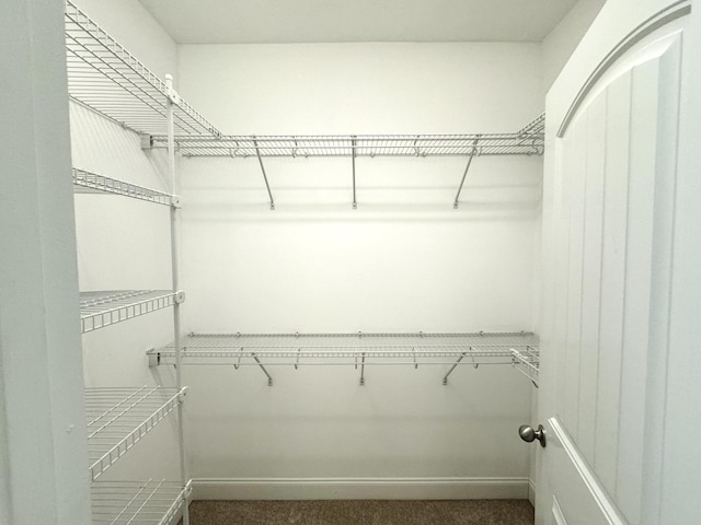 spacious closet with dark carpet