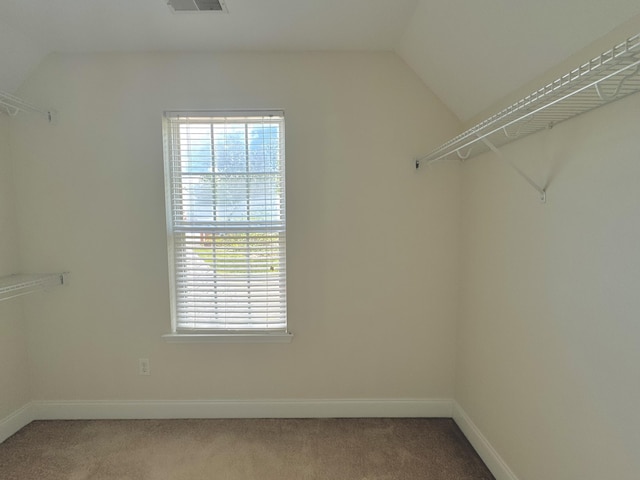 walk in closet featuring carpet and lofted ceiling