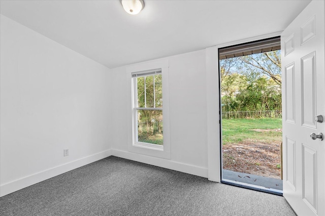 carpeted spare room featuring a wealth of natural light