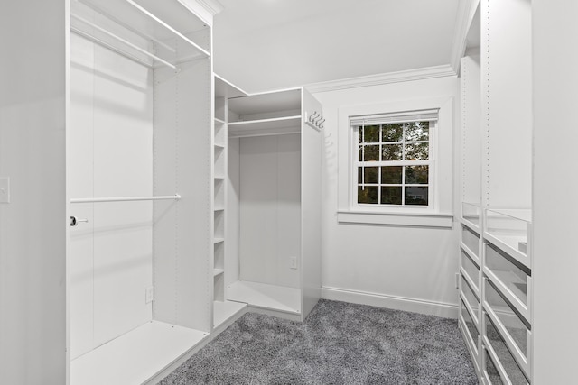 walk in closet featuring dark colored carpet