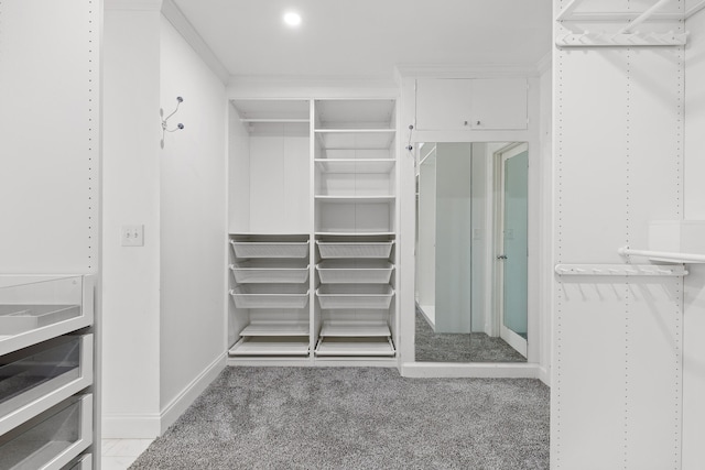 spacious closet with carpet floors