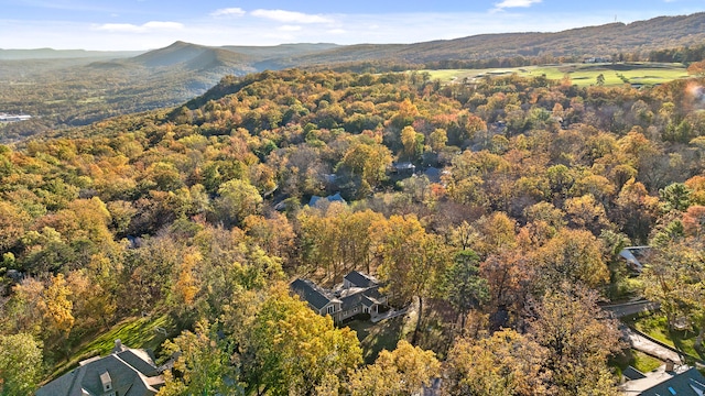 bird's eye view featuring a mountain view