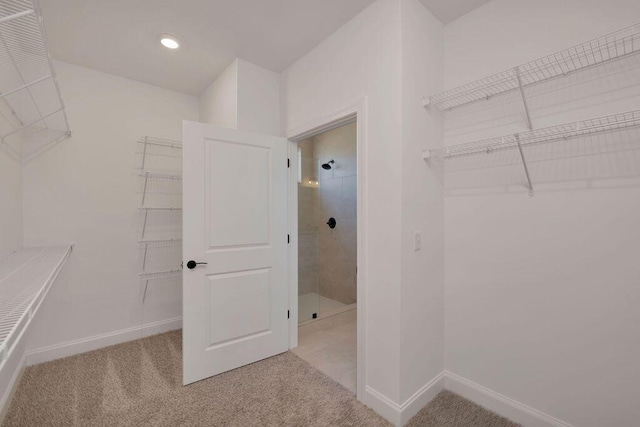 spacious closet featuring light carpet