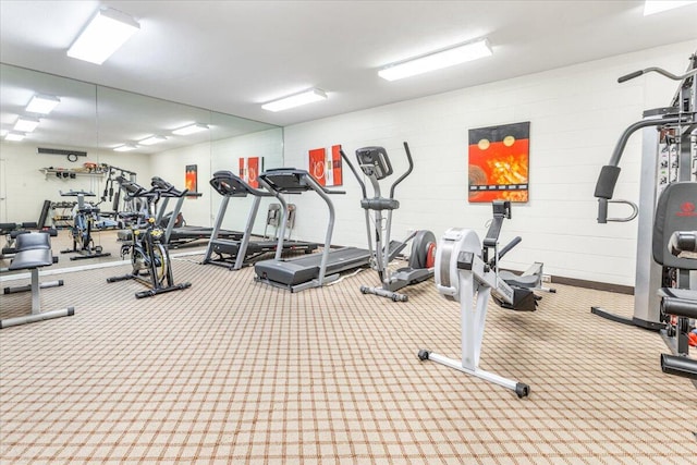 workout area featuring carpet flooring