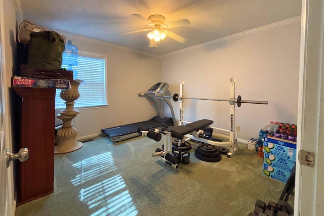 workout area featuring crown molding, a textured ceiling, and baseboards