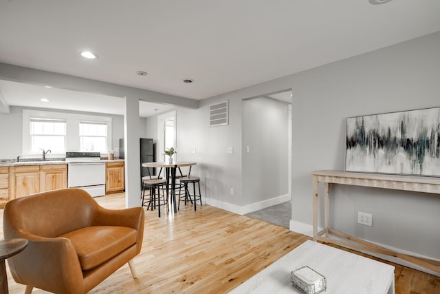 living room with light hardwood / wood-style floors and sink