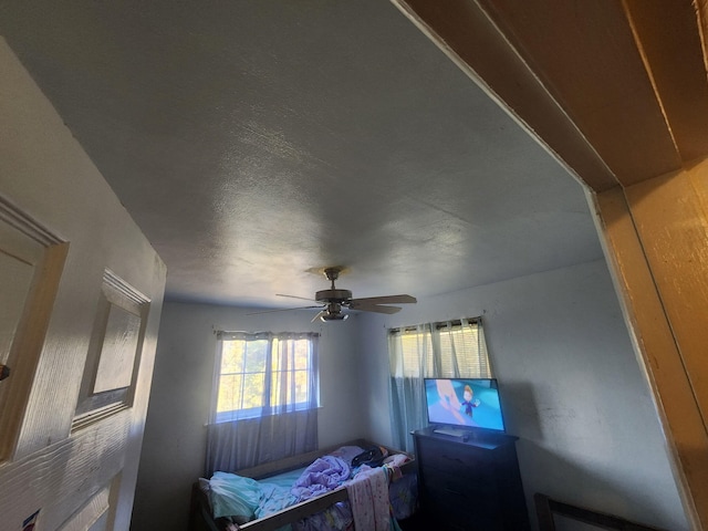 bedroom featuring ceiling fan