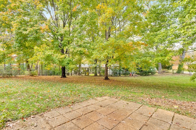 view of yard with a patio