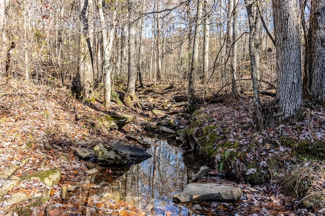 view of nature