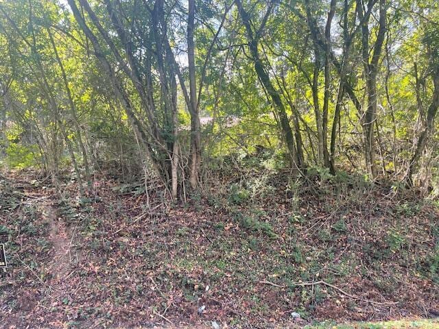 0 N Chattanooga St, Lafayette, GA 30728 - view of nature