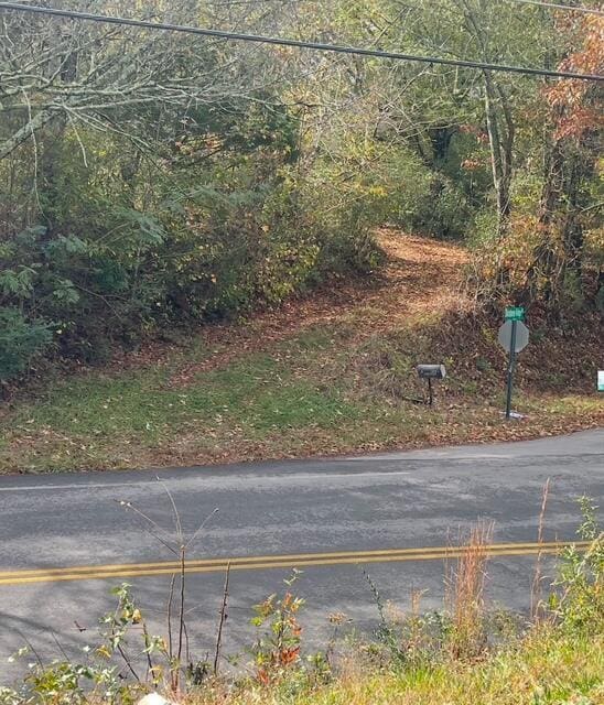 0 N Chattanooga St, Lafayette, GA 30728 - view of road