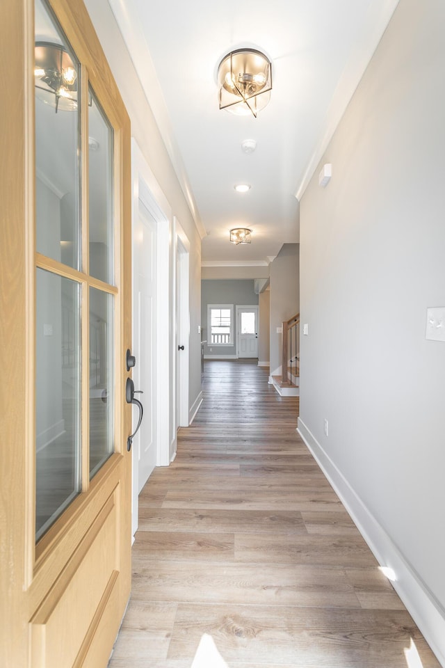 hall featuring hardwood / wood-style flooring and ornamental molding