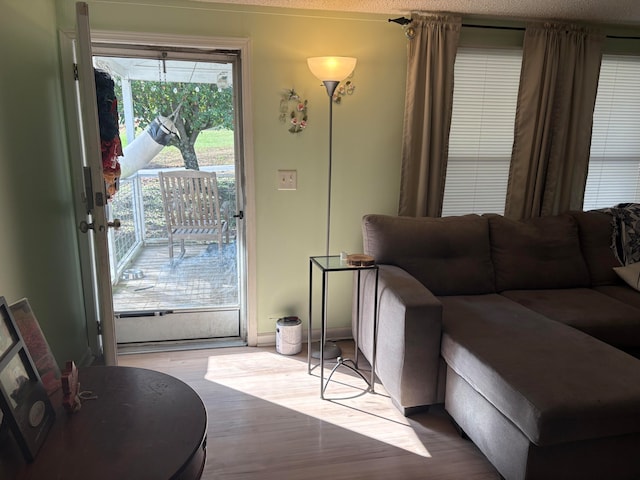 living room featuring hardwood / wood-style flooring