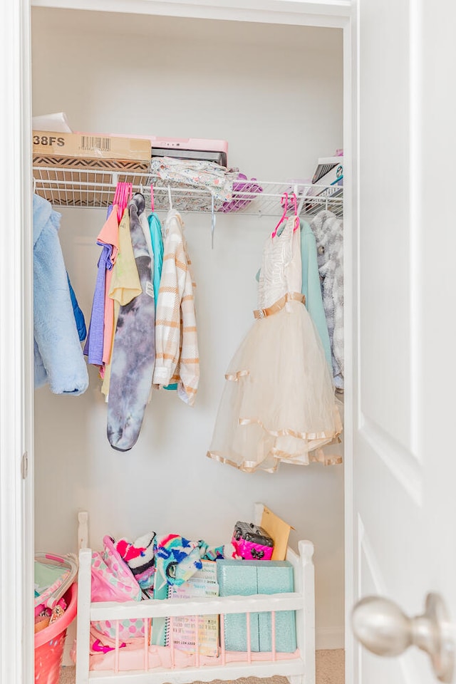 view of closet