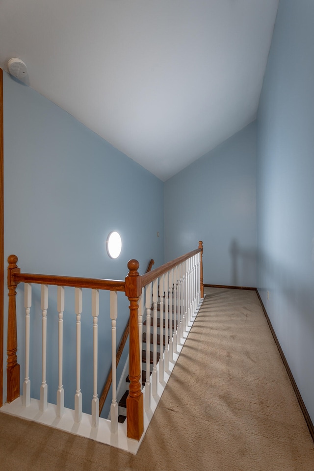 staircase with lofted ceiling and carpet flooring