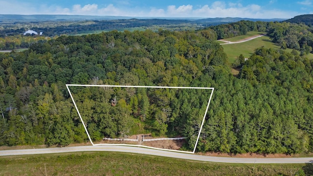 Listing photo 2 for 00 Cottonport Rd Lot 01, Decatur TN 37322