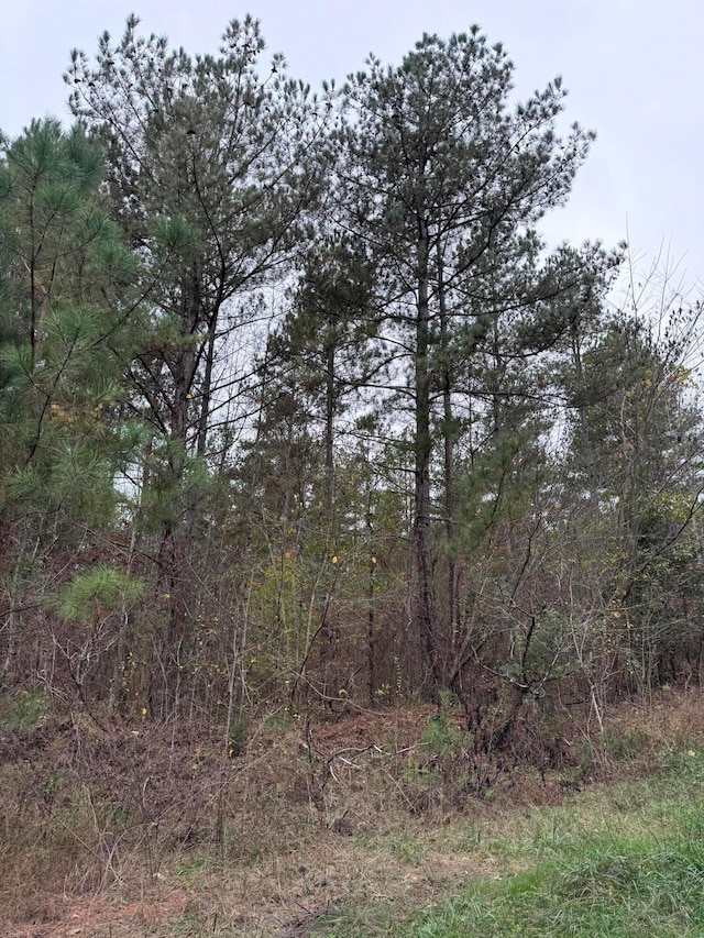 0 Sims Rd, Decatur TN, 37322 land for sale