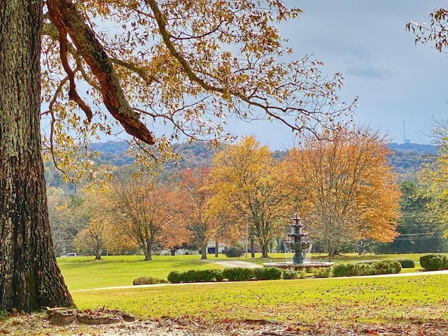 view of property's community featuring a lawn