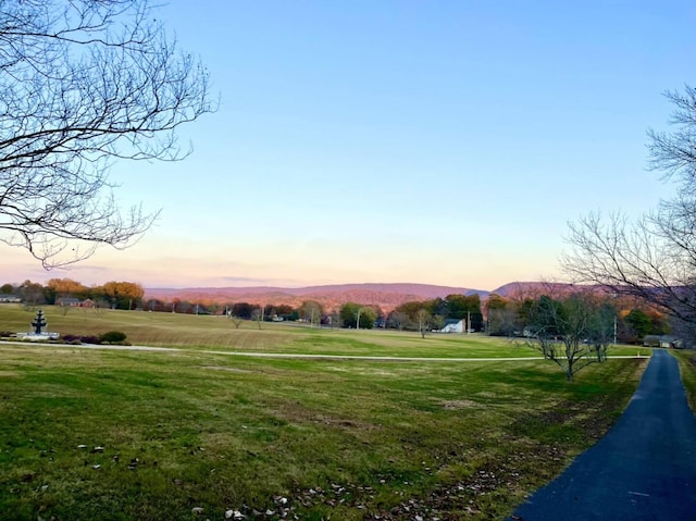 view of property's community featuring a yard and a mountain view