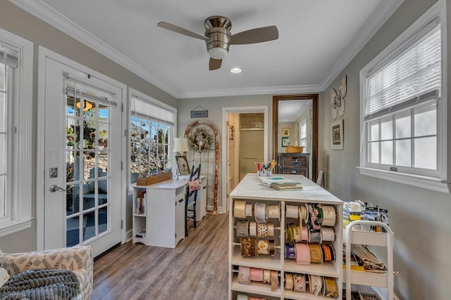 dining area with ceiling fan, light wood-type flooring, and ornamental molding