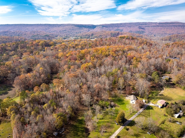 bird's eye view