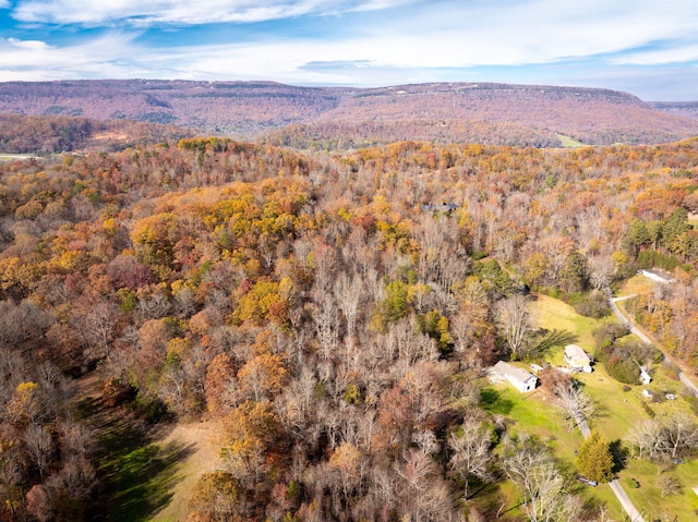 bird's eye view featuring a mountain view