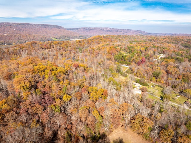 bird's eye view with a mountain view