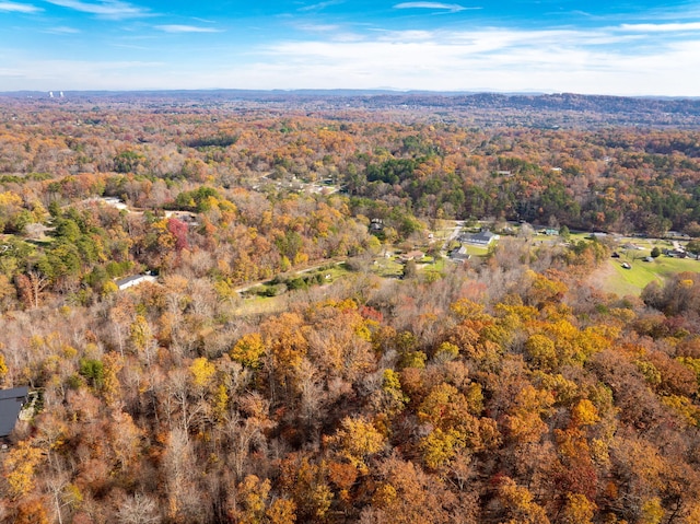 bird's eye view