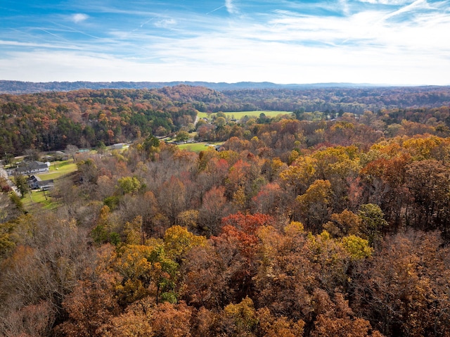 drone / aerial view