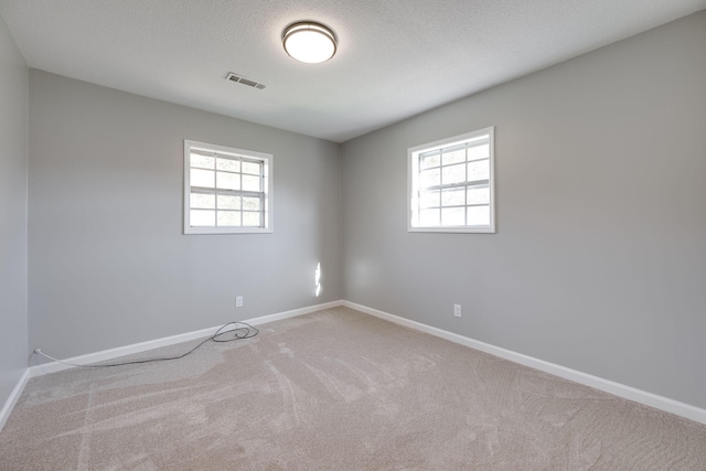 spare room featuring a wealth of natural light, carpet floors, and a textured ceiling