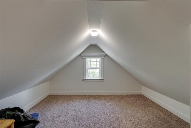 additional living space with carpet floors and lofted ceiling