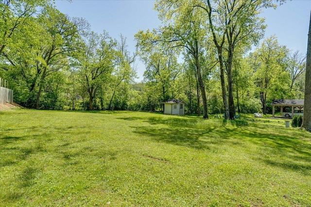 view of yard featuring a storage shed