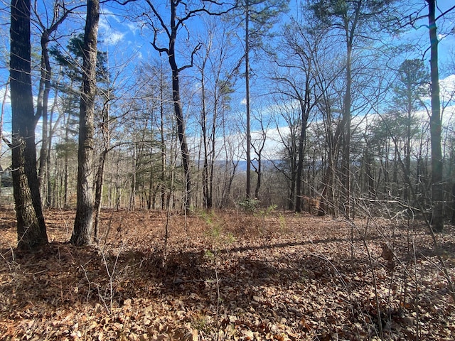 00 Bluff View Dr # 558, Dunlap TN, 37327 land for sale