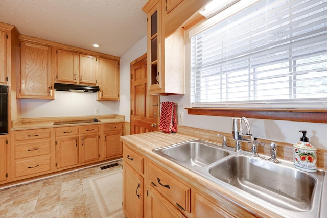 kitchen featuring a textured ceiling, black appliances, and sink