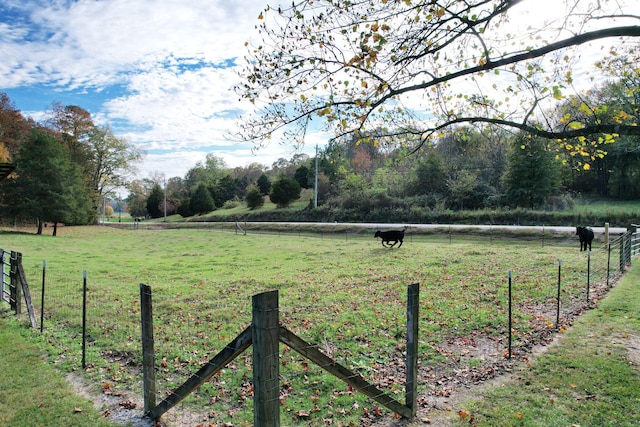 view of yard with a rural view