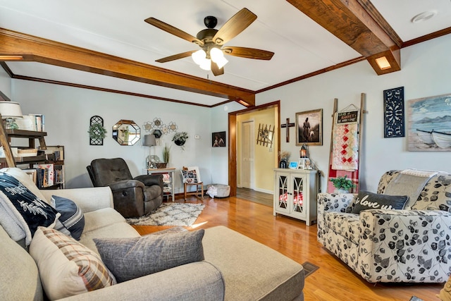 living room featuring ceiling fan, beam ceiling, light wood-type flooring, and crown molding