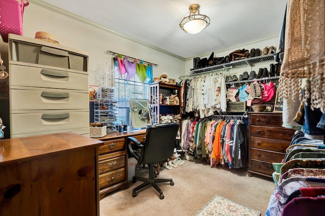 spacious closet with light carpet