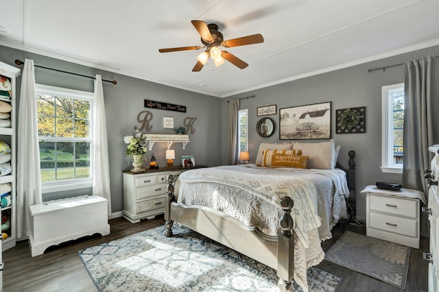 bedroom featuring dark hardwood / wood-style flooring, ornamental molding, multiple windows, and ceiling fan