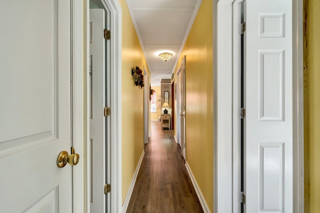 hallway featuring dark hardwood / wood-style floors and crown molding