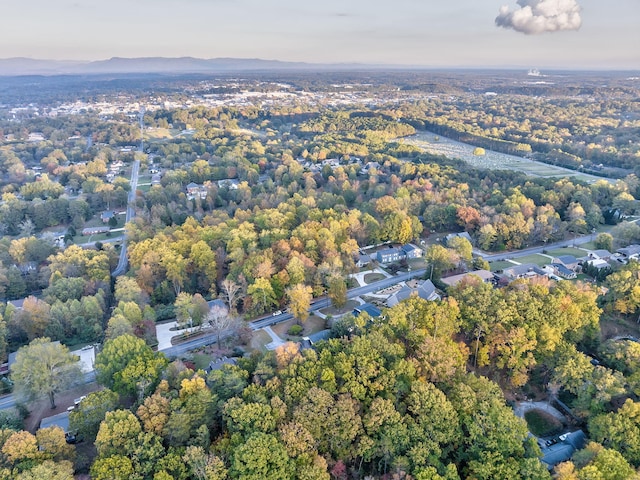 drone / aerial view