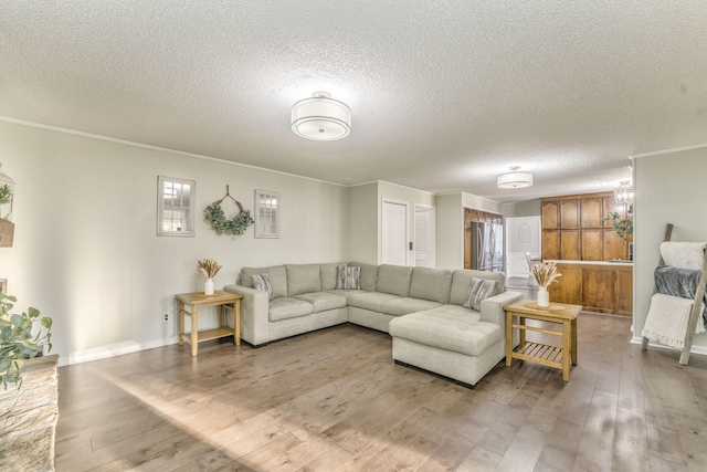 living room with hardwood / wood-style floors, a textured ceiling, and crown molding