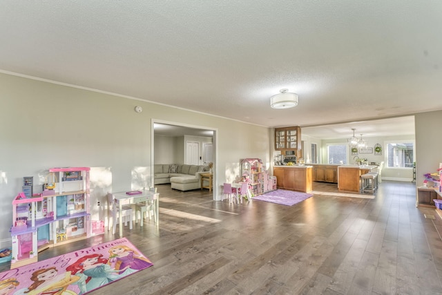 recreation room featuring a chandelier, a textured ceiling, hardwood / wood-style flooring, sink, and crown molding