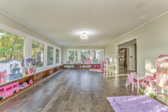 recreation room featuring ornamental molding, wood-type flooring, and a textured ceiling